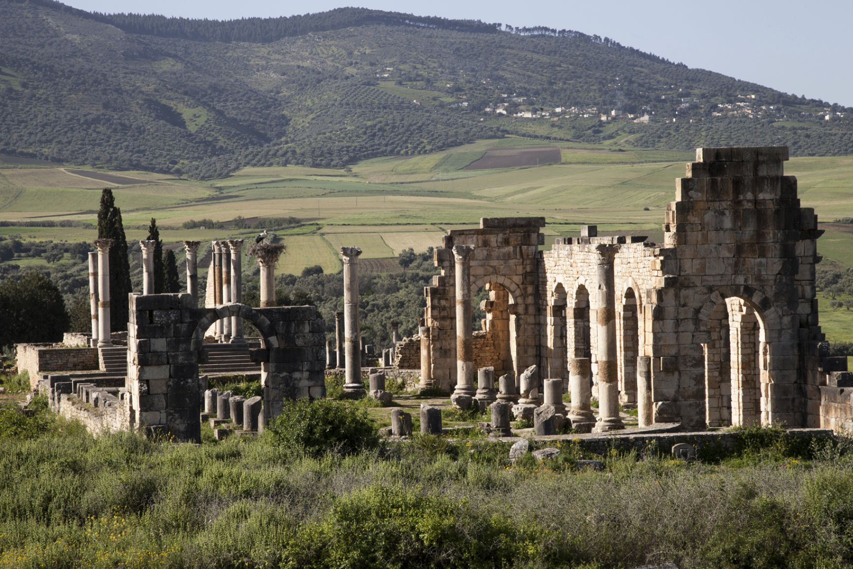 Volubilis (modern Walili, Morocco)